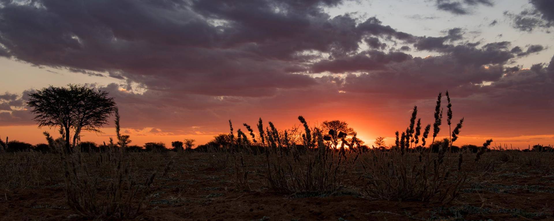 Sonnenuntergang - Immer eine besondere Stimmung in Afrika