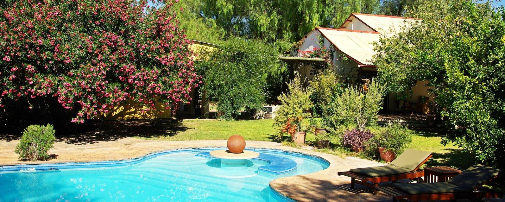 Pool and garden at Kuzikus Guestlodge